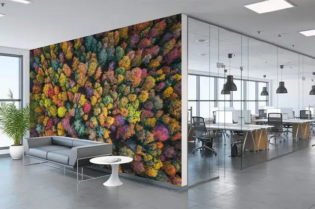 Aerial forest canopy mural on an office accent wall